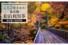 選ばれる温泉体験 9000円分の温泉宿泊利用券【1278599】