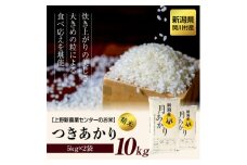 上野新農業センターのお米 関川村産つきあかり精米10kg(5kg×2袋)【1343649】