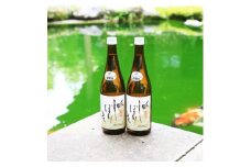 ＜2023-1月蔵出分＞〆張鶴 しぼりたて 生原酒 720ml×2本【1345042】