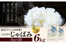 [先行予約] R7年産 関川村産コシヒカリ6kg(3kg×2) 丁寧に育てた贅沢米 [山口ファーム]【1344366】
