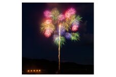 思い出花火 打ち上げ＜富士(8号)＞(えちごせきかわ大したもん蛇まつり花火大会)【1312848】