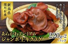 関川村産あらかわプレミアムジャンボ生キクラゲ220g×2パック【1442523】