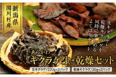 あらかわキクラゲ生・乾燥セット(生キクラゲ220g×2パック・乾燥キクラゲ30g×2パック)【1442531】