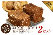 育てて楽しい!あらかわ生しいたけ菌床ホダ木 2セット【1442536】