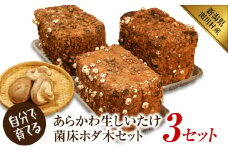 育てて楽しい!あらかわ生しいたけ菌床ホダ木 3セット【1442708】