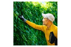 ＜関川村産＞山薫る自然薯 カット品700g以上【1475178】
