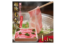 [小分けパックがうれしい] 越後もち豚肩ロース肉(しゃぶしゃぶ用) 合計1.1kg【1577696】