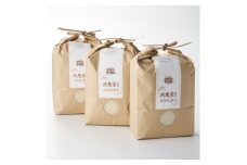 [先行予約] R7年産 濃厚な甘み!岩船産コシヒカリ精米6kg(2kg×3袋)[農家民宿おくやま]【1584913】