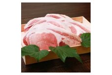 サクッと肉厚!越後もち豚とんかつ用　900g　絶品の食感【1644011】