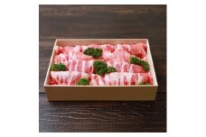 とろける極上の越後もち豚ロース しゃぶしゃぶ用　900g　新潟の逸品【1644014】