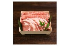 柔らかジューシー!越後もち豚ロース (しゃぶしゃぶ用500g・とんかつ用400g) 計900gセット【1644016】