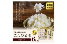 ＜毎月定期便＞関川村産こしひかり6kg(2kg×3袋)ふっくら美味しさ 岩船米 [横山農産]全12回【4073979】