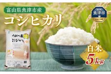 【令和6年度米】富山県 魚津市産米「コシヒカリ」5kg｜こしひかり こめ コメ お米 おこめ 白米 精米 雪解け水 香り うまみ あまみ 冷めても 美味しい おにぎり お弁当 高品質 魚津市 ※北海道・沖縄・離島への配送不可