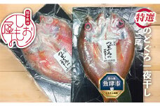 脂じゅわり【特選】のどぐろ一夜干し2尾　富山産（1尾350g以上）　ハマオカ海の幸