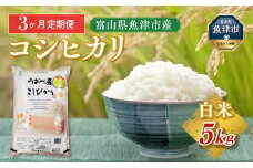 【3ヶ月定期便】富山県 魚津市産米「コシヒカリ」5kg｜3ヶ月定期便 3回 3ヶ月 こしひかり こめ コメ お米 おこめ 白米 精米 雪解け水 香り うまみ あまみ 冷めても 美味しい おにぎり お弁当 高品質 魚津市 ※北海道・沖縄・離島への配送不可