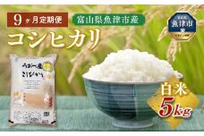 【令和7年度米】【9ヶ月定期便】富山県 うおづ産米「コシヒカリ」5kg（精米）｜9ヶ月定期便 9回 9ヶ月 こしひかり こめ コメ お米 おこめ 白米 精米 雪解け水 香り うまみ あまみ 冷めても 美味しい おにぎり お弁当 高品質 魚津市 ※北海道・沖縄・離島への配送不可