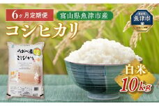 【6ヶ月定期便】 富山県 魚津市産米「コシヒカリ」10kg（5kg×2袋）｜6ヶ月定期便 6回 6ヶ月 こしひかり こめ コメ お米 おこめ 白米 精米 雪解け水 香り うまみ あまみ 冷めても 美味しい おにぎり お弁当 高品質 魚津市 ※北海道・沖縄・離島への配送不可