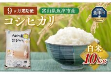 【令和7年度米】【9ヶ月定期便】富山県 うおづ産米「コシヒカリ」10kg（5kg×2袋）（精米）｜9ヶ月定期便 9回 9ヶ月 こしひかり こめ コメ お米 おこめ 白米 精米 雪解け水 香り うまみ あまみ 冷めても 美味しい おにぎり お弁当 高品質 魚津市 ※北海道・沖縄・離島への配送不可