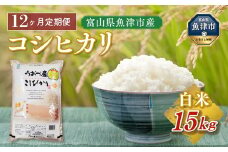 【12ヶ月定期便】富山県 魚津市産米「コシヒカリ」15kg（5kg×3袋）（精米）｜12ヶ月定期便 12回 12ヶ月 こしひかり こめ コメ お米 おこめ 白米 精米 雪解け水 香り うまみ あまみ 冷めても 美味しい おにぎり お弁当 高品質 魚津市 ※北海道・沖縄・離島への配送不可