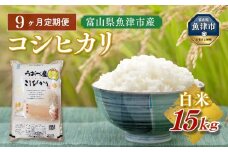 【令和7年度米】【9ヶ月定期便】富山県 うおづ産米「コシヒカリ」15kg（5kg×3袋）（精米）｜9ヶ月定期便 9回 9ヶ月 こしひかり こめ コメ お米 おこめ 白米 精米 雪解け水 香り うまみ あまみ 冷めても 美味しい おにぎり お弁当 高品質 魚津市 ※北海道・沖縄・離島への配送不可