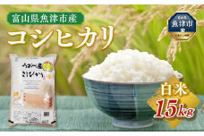 【令和7年度米】富山県 うおづ産米「コシヒカリ」15kg（5kg×3袋）（精米）｜こしひかり こめ コメ お米 おこめ 白米 精米 雪解け水 香り うまみ あまみ 冷めても 美味しい おにぎり お弁当 高品質 魚津市 ※2025年10月上旬～2026年8月下旬頃に順次発送予定 ※北海道・沖縄・離島への配送不可