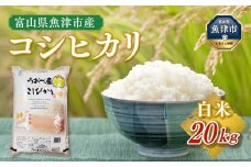 【令和6年度米】富山県 魚津市産米「コシヒカリ」20kg（5kg×4袋）（精米）｜こしひかり こめ コメ お米 おこめ 白米 精米 雪解け水 香り うまみ あまみ 冷めても 美味しい おにぎり お弁当 高品質 魚津市 ※北海道・沖縄・離島への配送不可