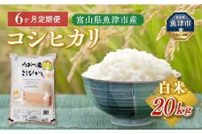【6ヶ月定期便】 富山県 魚津市産米「コシヒカリ」20kg（5kg×4袋）｜6ヶ月定期便 6回 6ヶ月 こしひかり こめ コメ お米 おこめ 白米 精米 雪解け水 香り うまみ あまみ 冷めても 美味しい おにぎり お弁当 高品質 魚津市 ※北海道・沖縄・離島への配送不可