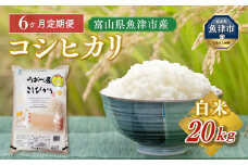 【令和7年度米】【6ヶ月定期便】富山県 うおづ産米「コシヒカリ」20kg（5kg×4袋）（精米）｜6ヶ月定期便 6回 6ヶ月 こしひかり こめ コメ お米 おこめ 白米 精米 雪解け水 香り うまみ あまみ 冷めても 美味しい おにぎり お弁当 高品質 魚津市 ※北海道・沖縄・離島への配送不可