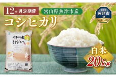 【12ヶ月定期便】富山県 魚津市産米「コシヒカリ」20kg（5kg×4袋）｜12ヶ月定期便 12回 12ヶ月 こしひかり こめ コメ お米 おこめ 白米 精米 雪解け水 香り うまみ あまみ 冷めても 美味しい おにぎり お弁当 高品質 魚津市 ※北海道・沖縄・離島への配送不可