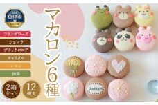 手描きイラスト入りマカロン6個入り×贅沢2箱セット ご褒美スイーツや贈り物に ※北海道・沖縄・離島への配送不可
