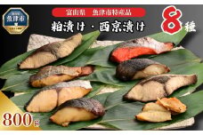 【冷凍・小分け】 粕漬け 西京漬け 4種ずつ 8種セット 8パック（ ブリ 銀ダラ 紅鮭 ふぐ サワラ メダイ ）｜ 天然ぶり 鰤 銀だら 銀鱈 鮭 しゃけ サケ サーモン さわら フグ 味噌漬け かす漬け 魚貝類 魚介類 海鮮 北陸 富山県 富山湾 魚津市 送料無料