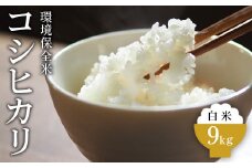 令和6年産 白米 環境保全米 コシヒカリ 9kg｜棚田米 お米 こしひかり 新米 こめ コメ 精米 おこめ もちもち 冷めても 美味しい 高品質 富山 魚津※北海道・沖縄・離島への配送不可 ※2024年10月下旬～2025年3月下旬頃に順次発送予定