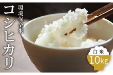 令和7年産 白米 環境保全米 コシヒカリ 10kg｜棚田米 お米 こしひかり 新米 こめ コメ 精米 おこめ もちもち 冷めても 美味しい 高品質 富山 魚津※北海道・沖縄・離島への配送不可 ※2025年10月上旬～2026年3月下旬頃に順次発送予定