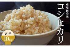 令和7年産 環境保全米コシヒカリ 玄米 10kg【北アルプス剣岳源流早月川最上流の棚田米】｜お米 こしひかり 新米 こめ コメ おこめ もちもち 冷めても 美味しい 高品質 富山 魚津※北海道・沖縄・離島への配送不可 ※2025年10月上旬～2026年3月下旬頃に順次発送予定