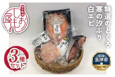 脂じゅわり「特選のどぐろ一夜干し」と熟成干物「天然 寒の汐ぶり」と高級鮮魚「白えび」セット　富山 魚津 ハマオカ海の幸
