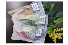 【冷凍・小分け】 粕漬け 3種セット（ ブリ 紅鮭 銀ダラ ）6切 セット｜ 天然ぶり 鰤 銀だら 銀鱈 鮭 しゃけ サケ サーモン かす漬け 漬け魚 魚貝類 魚介類 海鮮 焼き魚 冷凍 小分け 個包装 北陸 富山県 富山湾 魚津市 送料無料