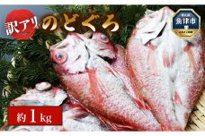 【訳あり】富山湾産　のどぐろ開き　計約1kg