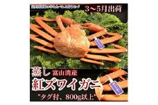 【3-5月出荷】蒸し紅ズワイガニ　1匹（約800g以上） ｜ ずわい蟹 ずわいガニ ズワイガニ ※2026年3月上旬～5月下旬頃に順次発送予定 ※北海道・沖縄・離島への配送不可