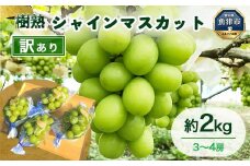 訳あり シャインマスカット 約2kg 樹熟 3～4房 ｜ 富山県産 マスカット ぶどう ブドウ 葡萄 ※北海道・沖縄・離島への配送不可 ※2025年10月上旬～12月下旬頃に順次発送予定