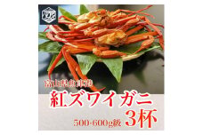 【冷蔵・ボイル済】魚卸問屋のベニズワイガニ 500～600g 3杯 セット【三人前】｜はりたや 魚貝類 魚介類 海鮮 蟹 カニ かに 紅ズワイガニ ずわい蟹 濃厚かにみそ 蟹しゃぶ 蟹飯 人気 豪華 お取り寄せ 北陸 富山県 富山湾 魚津市 送料無料 ※2025年9月下旬～2026年5月下旬頃に順次発送予定 ※北海道・沖縄・離島への配送不可