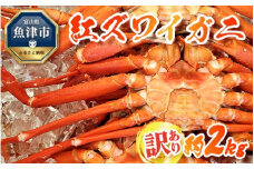 訳あり カニ 魚卸問屋のベニズワイガニ 約2kg 蟹 かに 紅ズワイガニ はりたや【 わけあり 】 ※2025年9月下旬～2026年5月下旬頃に順次発送予定 ※北海道・沖縄・離島への配送不可