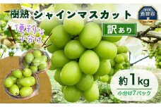 訳あり シャインマスカット 約1kg ｜ 樹熟 粒 7パック 富山県産 マスカット ぶどう ブドウ 葡萄 ※北海道・沖縄・離島への配送不可 ※2025年10月上旬～12月下旬頃に順次発送予定