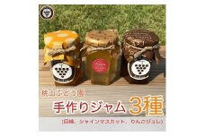 桃山ぶどう園の手作りくだものジャム3種（巨峰、シャインマスカット、りんごジュレ）　※北海道・沖縄・離島への配送不可　※2025年9月中旬頃より順次発送予定