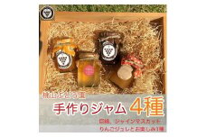 桃山ぶどう園の手作りくだものジャム4種（巨峰、シャインマスカット、りんごジュレとお楽しみ1種）　※北海道・沖縄・離島への配送不可　※2025年9月中旬頃より順次発送予定