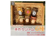 桃山ぶどう園の手作りくだものジャム6種（巨峰、シャインマスカット、りんごジュレとお楽しみ3種）　※北海道・沖縄・離島への配送不可　※2025年9月中旬頃より順次発送予定