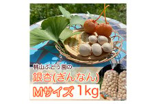 桃山ぶどう園の『ぎんなん(殻付き)』Mサイズ 約1kg　※北海道・沖縄・離島への配送不可　※2025年11月上旬頃より順次発送予定