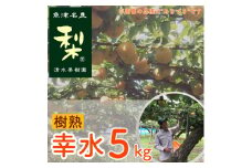【早期予約】清水果樹園の梨「樹熟の幸水」5kg｜フルーツ なし 梨 ナシ 果物 富山県産 ※北海道・沖縄・離島への配送不可 ※2024年8月下旬頃より順次発送予定