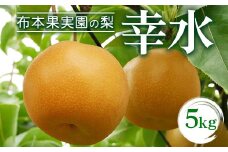【早期予約】布本果実園の梨「幸水」5kg ※北海道・沖縄・離島への配送不可 ※2025年8月下旬頃より順次発送予定