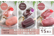 素材そのまんま寒天バー 人気のベリー3種を食べ比べ 15本入 ｜ お菓子 スイーツ 寒天 和菓子 生菓子 ※2025年6月上旬～9月上旬頃に順次発送予定 ※北海道・沖縄・離島への配送不可