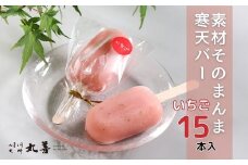 素材そのまんま寒天バー ストロベリー 15本入 ｜ お菓子 スイーツ 寒天 和菓子 生菓子 ※2025年6月上旬～9月上旬頃に順次発送予定 ※北海道・沖縄・離島への配送不可